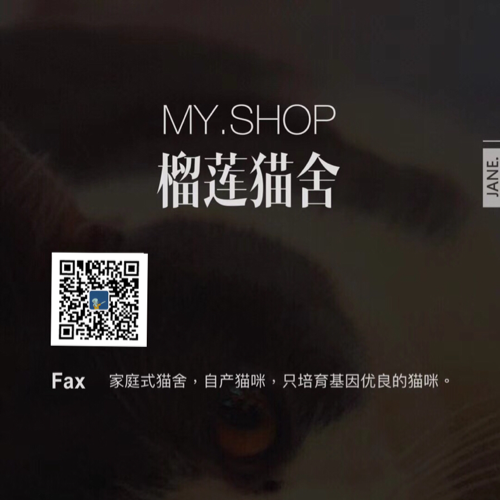 我的猫舍 您的猫舍