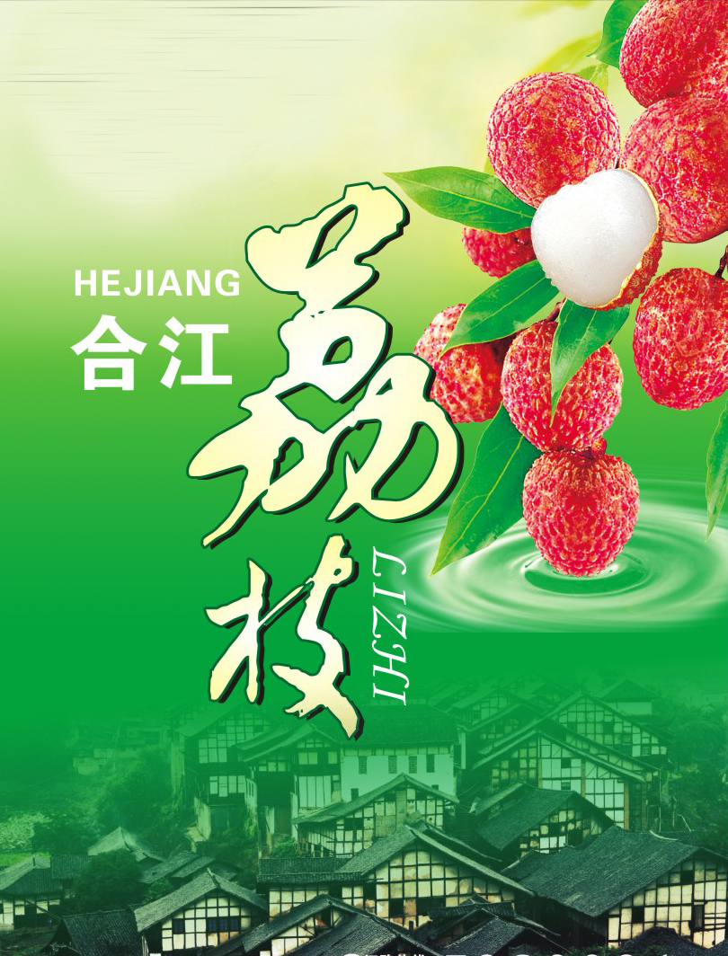 搜索哈尔滨荔枝节