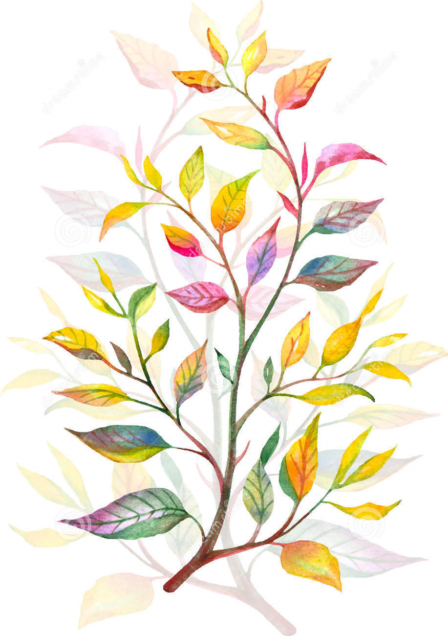 乐易方舟家庭教育指导中心