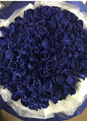 刘毅&刘陈（foreverlove）